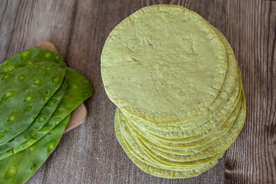Categoría: Tortillas de nopal