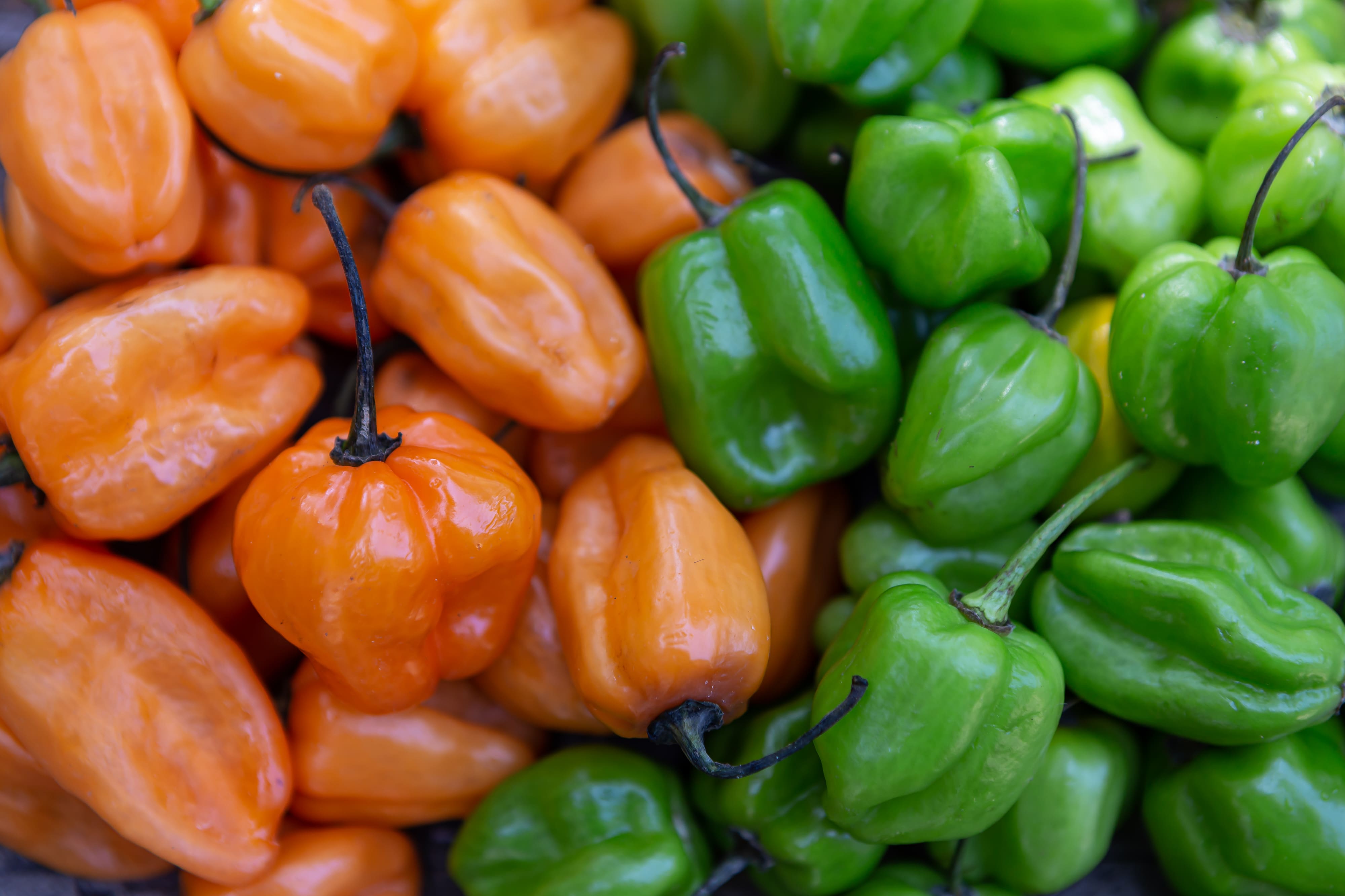 Chile Habanero de Yucatán