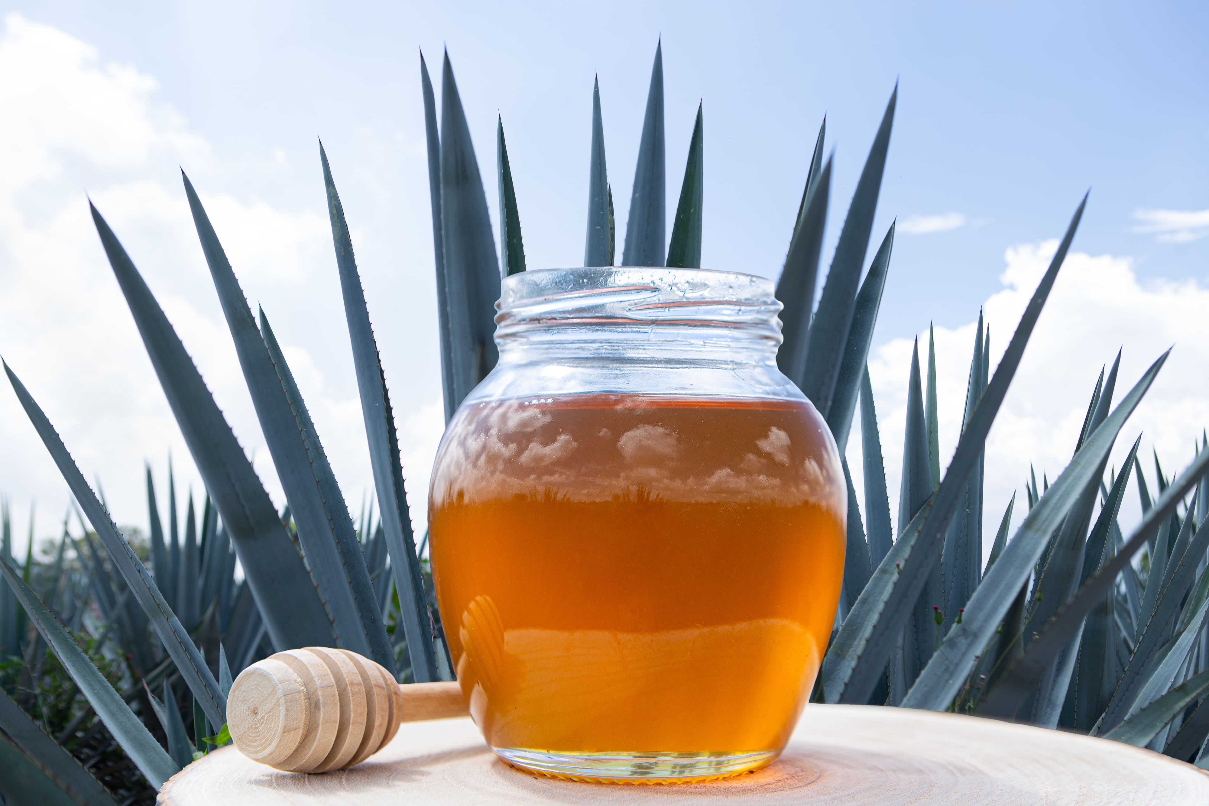 Miel de Agave