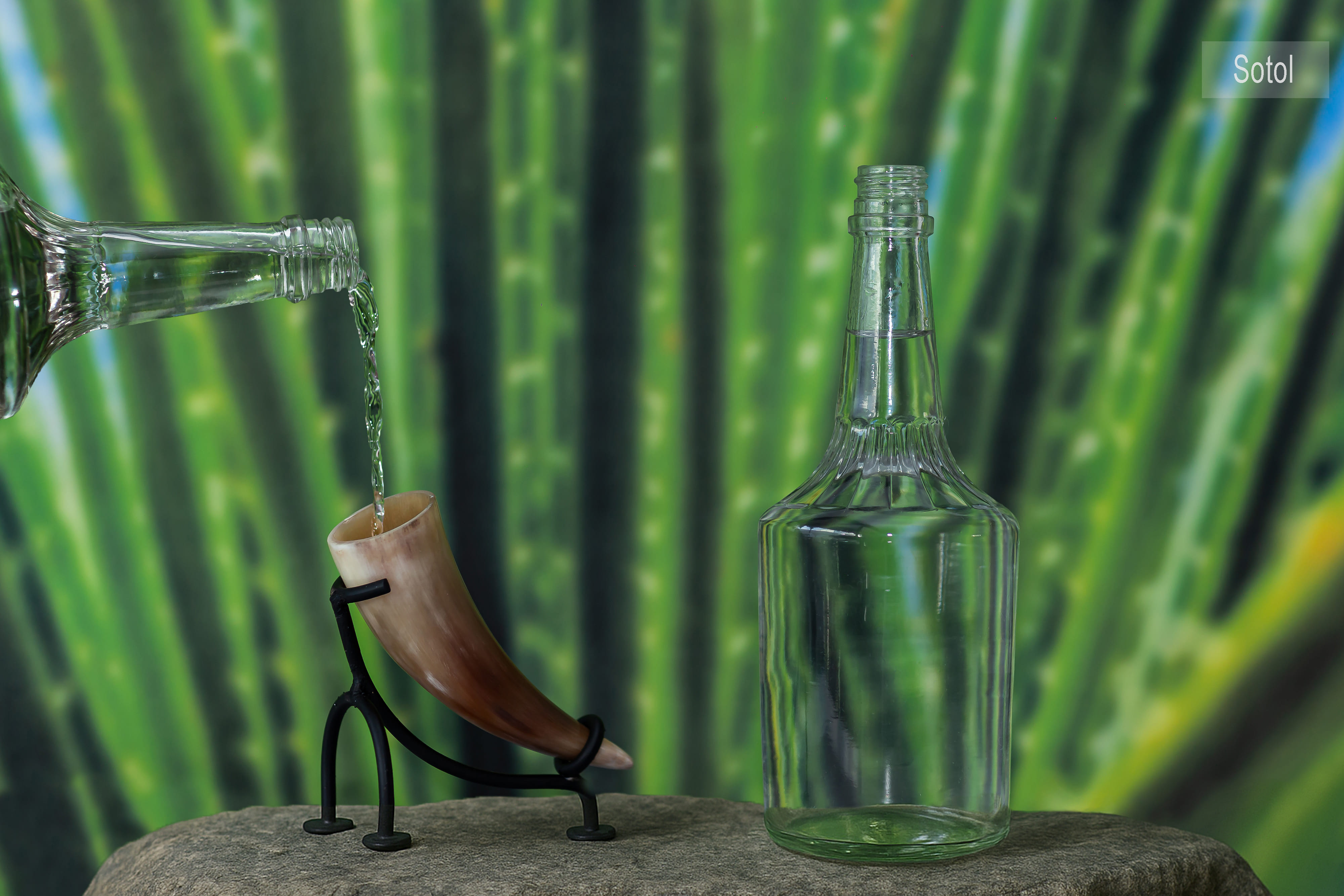 Sotol